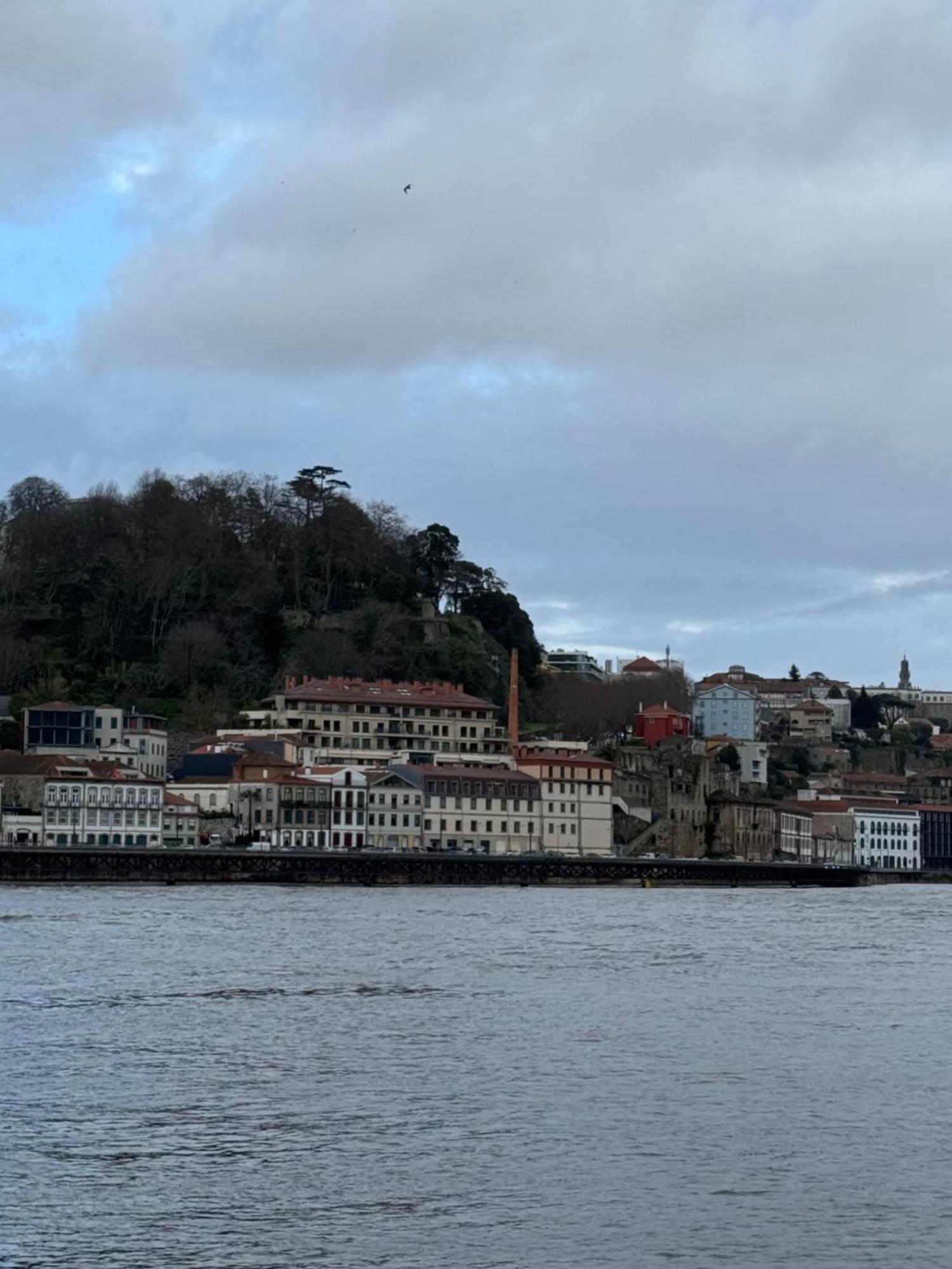 Amazing Studio Douro River Views Porto Buitenkant foto